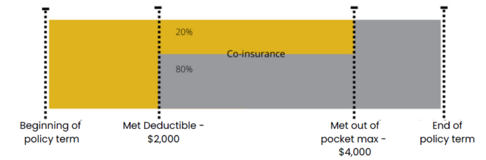 coinsurance deductible and out of pocket