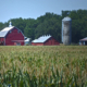 Iowa Barn